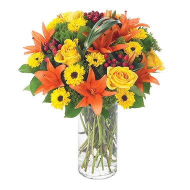 Autumn Sophistication